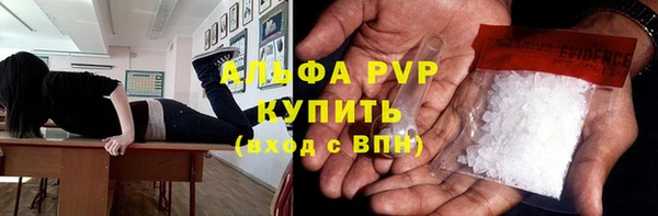 СК Богородицк
