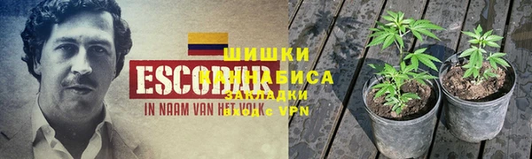spice Богородск