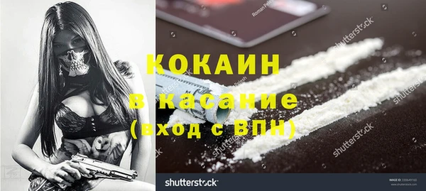 spice Богородск